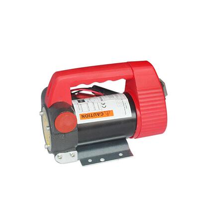 诚12v2/4v油/220v电动RSV柴油加泵.电奥动柴油泵.直流柴油加油泵.