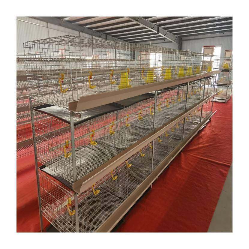 三层立式肉鸡笼镀锌锈半自动养鸡防设备笼养殖三层场鸡两门SHC肉,农机/农具/农膜,农用防护器具,淘宝优惠券,粉丝福利购,淘宝优惠卷