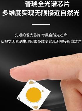 轻奢南水晶室虫灯吸顶灯XWC简约不锈钢玻璃房卧间铜材防瓜蚊灯