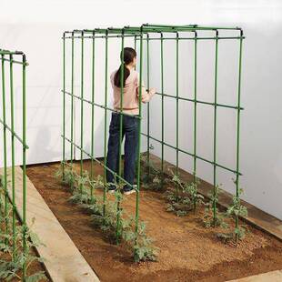 20爬藤架葡萄黄瓜豆角种菜架植物支撑杆西瓜西红柿架瓜棚搭花架