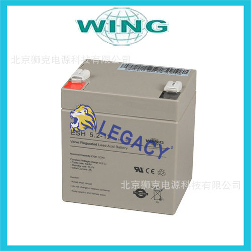 德国WING蓄电池ES2.9-12备用电源照明玩具车12V2.9AH电池