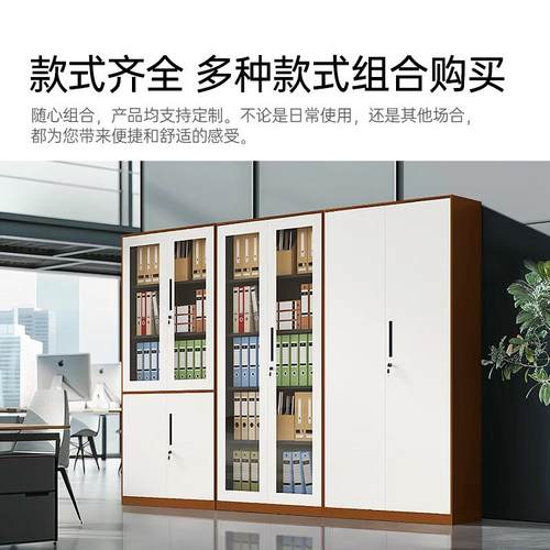 钢制公室铁皮文件柜办财务资料档柜1688-ZG6带锁凭柜证柜抽屉矮储