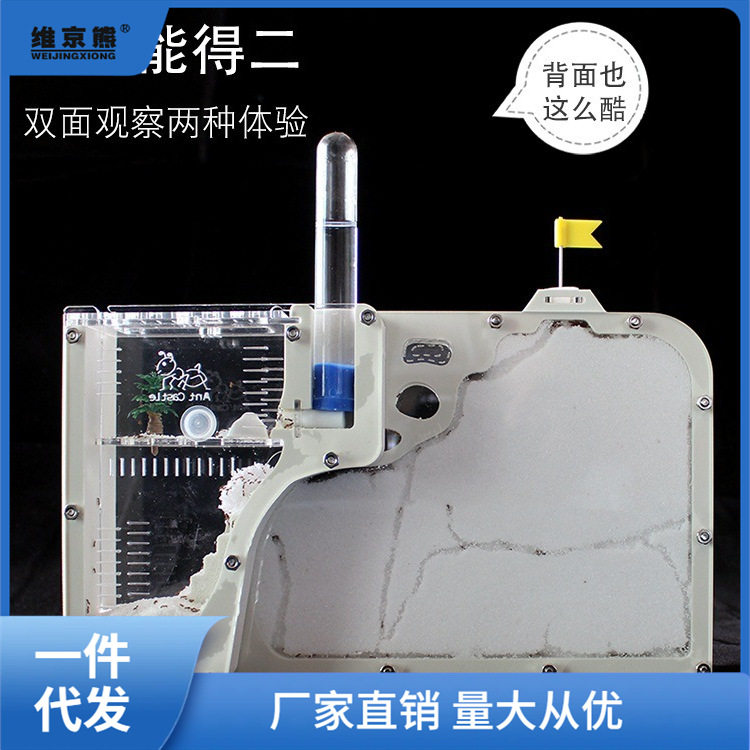 蚂蚁城堡工坊蚁巢生态屋送蚁后
