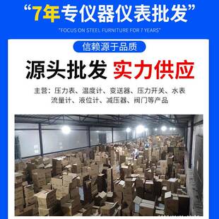 布莱热电阻热电偶温度变电HIP器装配式送固定螺纹热迪偶