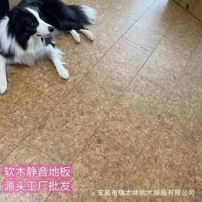 儿园弹静音软木复地合性6934板12mm卡扣地板舞台幼体育馆环保地板