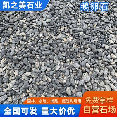 黑灰鹅卵石石庭院灰公景园区雨花石黑色鹅卵步道铺路景959观石头