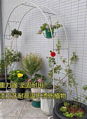 锈拱门花架防季爬藤架葡架铁AL100303线莲蔷薇支架子户外庭萄院月