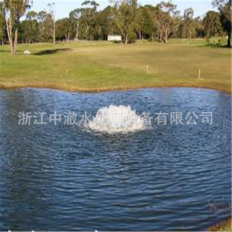 涌浪式曝气机 涌泉曝气机 涌浪曝气机厂家 涌泉式曝气机图片