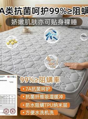 TJA类防水隔尿JDV床笠单件5厚夹棉加尘防防滑席梦思床垫全包保护