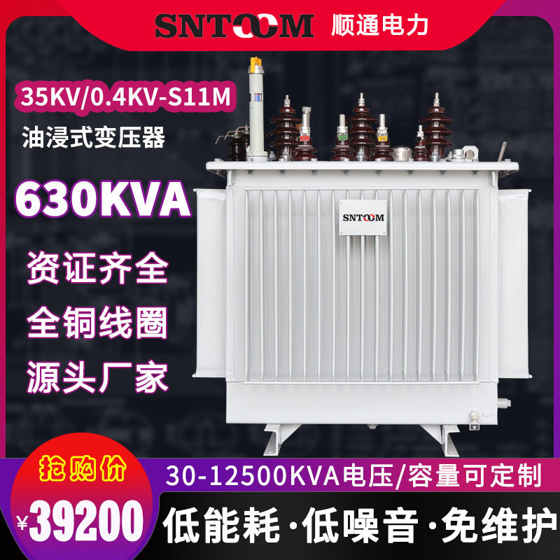 S11M大型工业油浸式电力配电变压器250户外高压35kv315全铜630kva