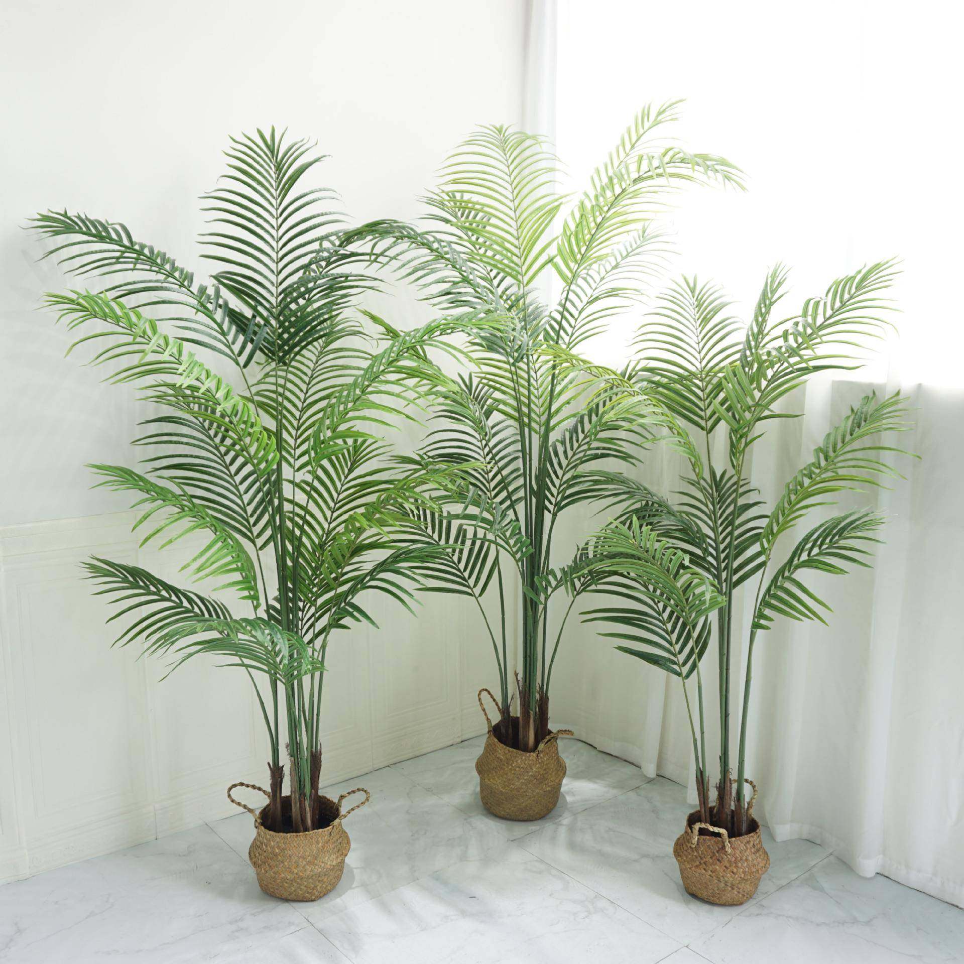 仿散尾葵贵妃葵凤尾葵散YC20101尾竹盆栽物人造塑料植物室内真外