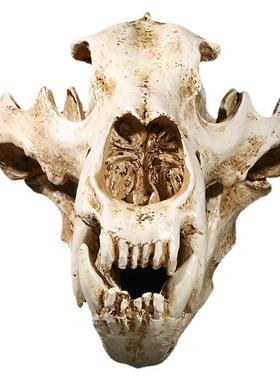 仿电影头骷髅头-1真道具型树脂工艺品骷髅头北极熊头骨动物园模骨
