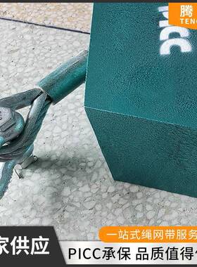 工业重5型防坠器2吨米吨5米5吨53米防坠器5T519差M工业防坠器速器