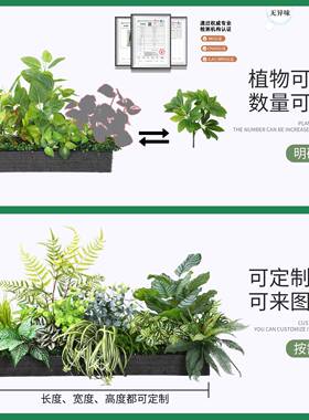 景真花LF08268草成品组仿生花槽花箱装饰植物合观摆件餐仿厅隔断