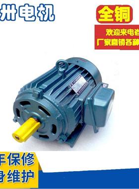 销售YLJ步180-0125-6Y电LJ180-12NWX5-4YLJ18-125-8三相异力矩动