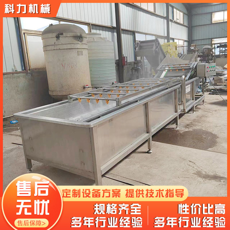 全自动大产量果蔬气泡清洗机