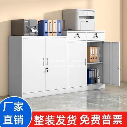 办公衣对开矮料柜钢制文件柜财室务资档案柜TQL带锁凭证柜多门更