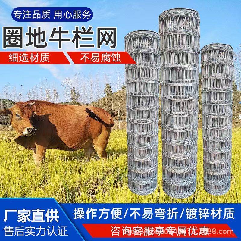 镀锌铁丝养殖护栏网草原钢丝围网圈地果园围栏网羊鹿马农场牛栏网