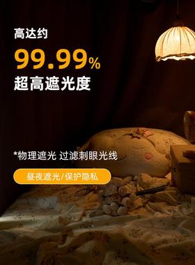 学生床铺帘蚊帐205新款宿舍遮光22712蚊一体帘上（2复防合强遮