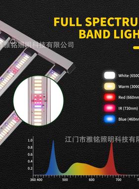 大功率泰国全光谱植物灯4x6ft大棚种植补光灯1200W植物生长灯工厂