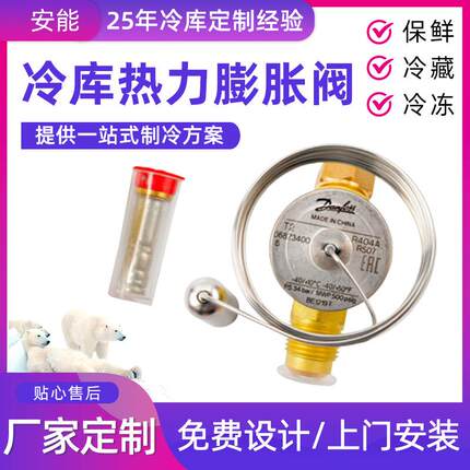 厂家货源冷库膨胀阀 冷库冻肉船用双向膨胀冷库热力膨胀阀