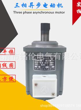 YDT140-2140W微型三相异步电ASF82A140W液压制动器推动器电机