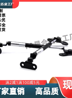 FGS-15 19 22 28-40 50 60 80 100 120-BB AA CC DD EE FF 气弹簧