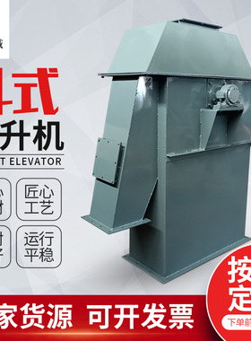 定制NE斗式提升机TH斗提机TD皮带提升机 板链链条水泥粉尘斗提机