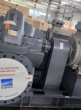 EBARA双吸意大利不锈钢泵