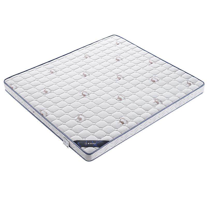 A6L椰棕床垫1.5米1.8米卧室双人席梦思床垫15cm厚度床垫