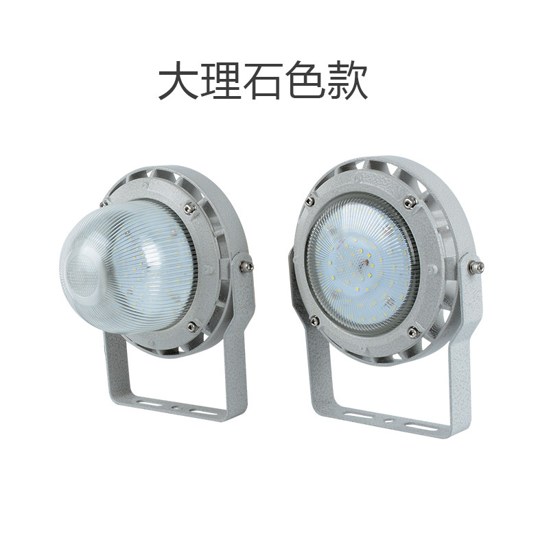 led防爆灯20w30w40w50w60w免维护防水节能灯化工厂仓库照明吸顶灯