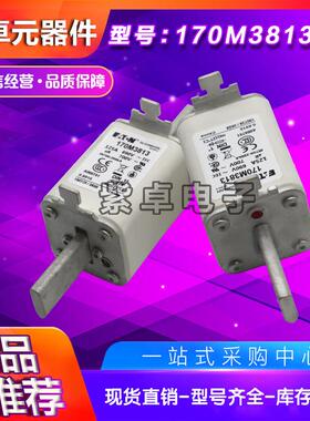 巴斯曼Bussmann熔断器170M3816D170M3817D170M3818D170M3819D