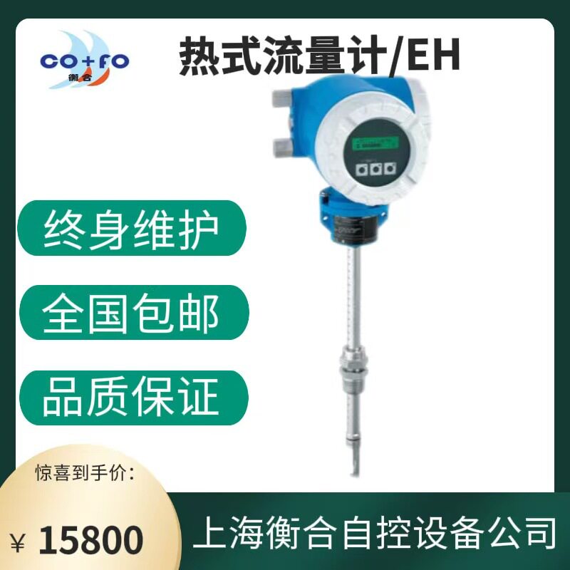 e+h智能插入式热式气体质量流量计液体脉冲高温污水智能控制