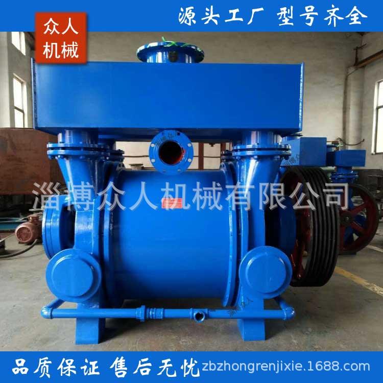 22BE1水环真空泵2BEA303/3泵53B头2EA2IAM02/252/53真空泵小计