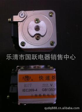 RRS4RST特1种熔断器特熔RSG-5S77RSSBASG8RSG3RSG-1RSG-A3