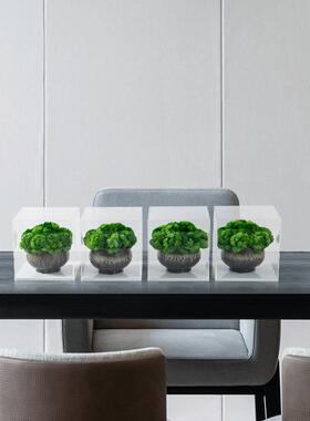 亚克中力盒苔藓仿真艺摆件茶几洽谈餐花桌绿植HY1784花架玄关花新