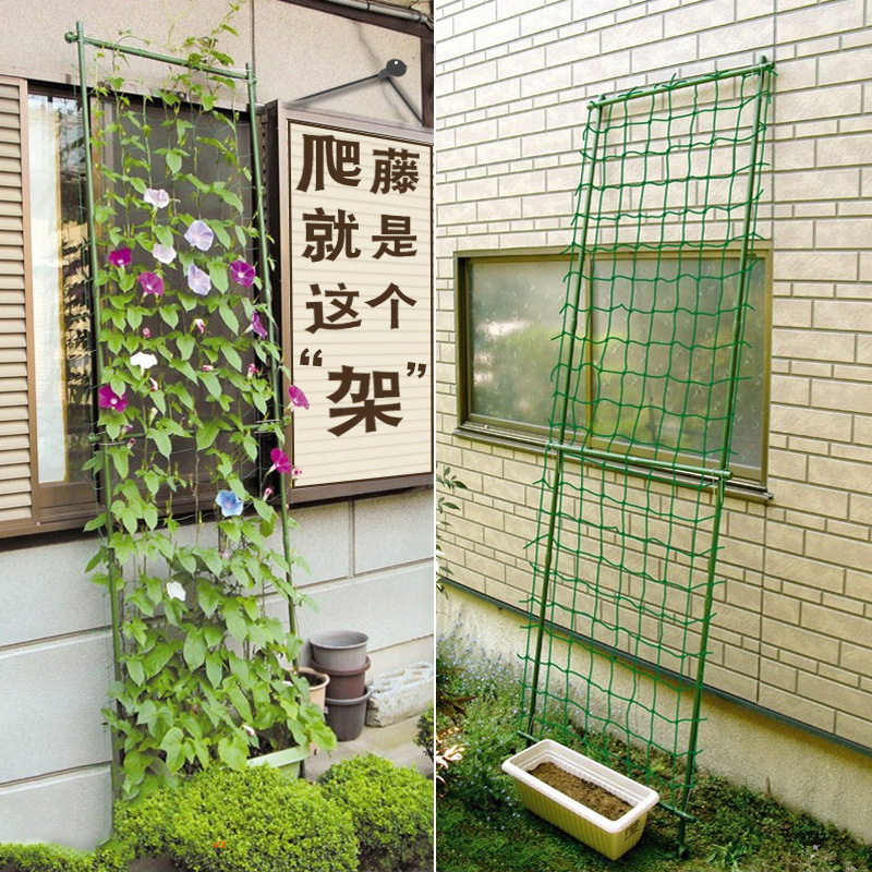 爬藤支架铁线莲杆牵牛花铁线月季藤架葡萄攀爬架阳台庭院架子