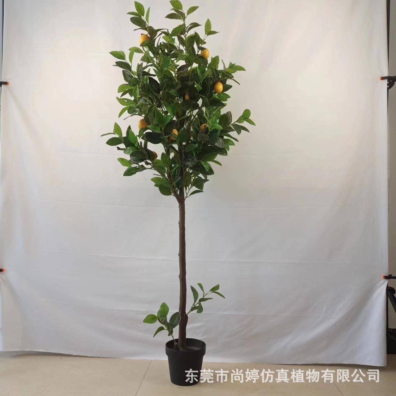 仿真柠檬树绿盆植盆仿栽橘子树盆景室内装饰大真型假仿真柠檬绿植