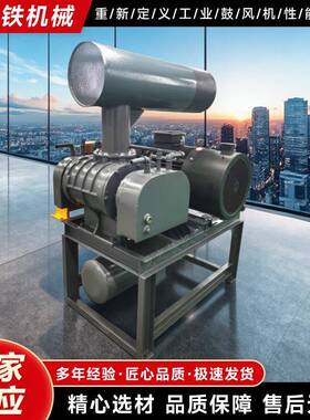 丘罗茨风源机头罗茨鼓风机SR65有品质如一采购成本立省章531现货