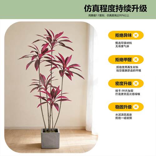 厅轻奢仿真绿植朱蕉七彩铁树盆栽客办仿真绿植装公室大落地饰摆件