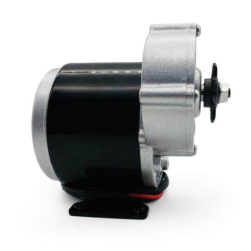 24V20W刷形轮减速电机101A555866Z永磁直流炒货机5电机有齿轮带脚