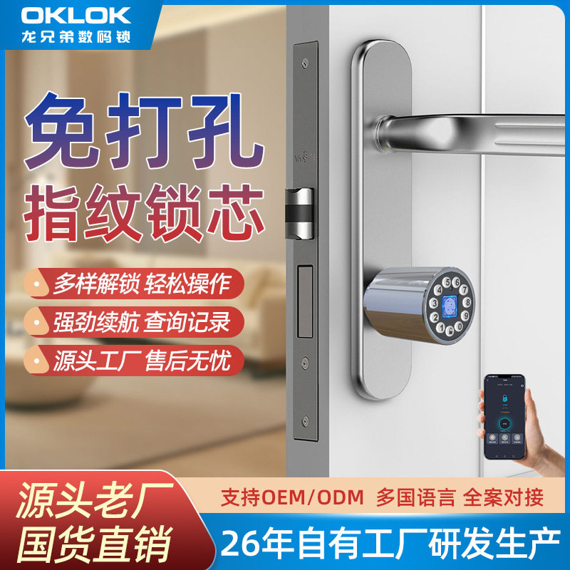室内门指纹锁芯办公室通用电子远程密码锁合租房卧室公寓智能锁