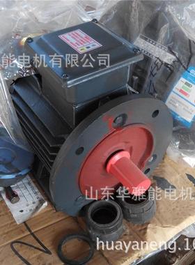 替代-湘潭式电机YE590S-可60.75LYSKW立卧式上线侧线380VIP55电机