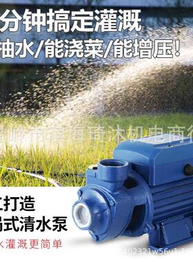 VQB760QB0QJMW8B0自吸清水泵离心漩涡清水泵12220V110V太阳能自吸