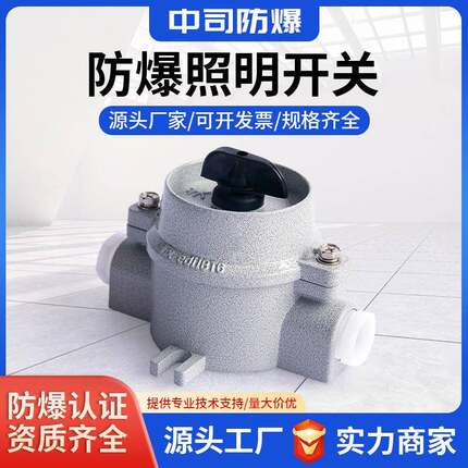 防爆防腐照明转换开关防爆照明开关SW-10220V380V10A直销