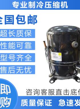 原装冷库泰康制冷压缩机THB4422Y THB4419YWZ