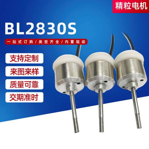 BL2830s交流同步减速电机微型电机永磁低速电动机减速小马达