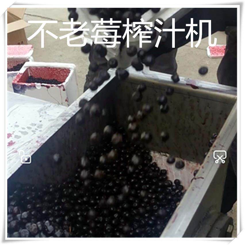 供应不老莓榨汁压榨机黑果花楸压榨机不锈钢榨汁机