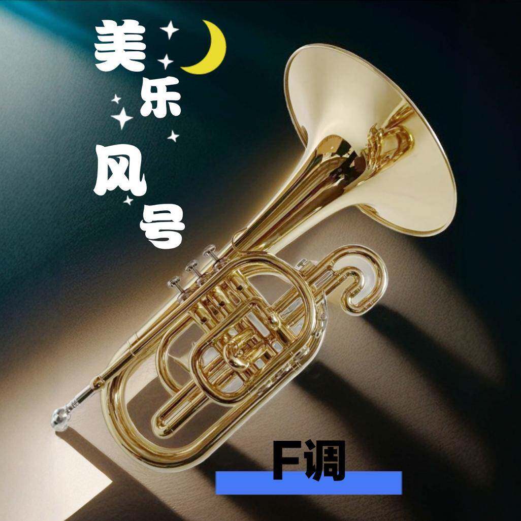 哈麦伦美乐风号乐器[行进美乐号]行进铜管漆金F调专业演奏