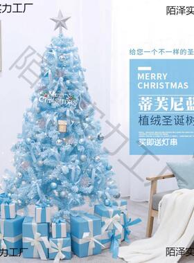 圣诞节2023新款蓝色植绒圣诞树家用套餐加密1.5/1.8米豪华发光树